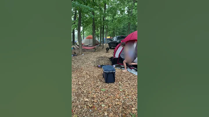 Camping rainstorm - DayDayNews
