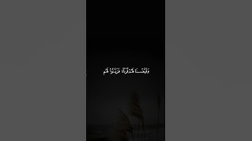سورة فصلت ماتيسر منها #سعود_الفايز #quran