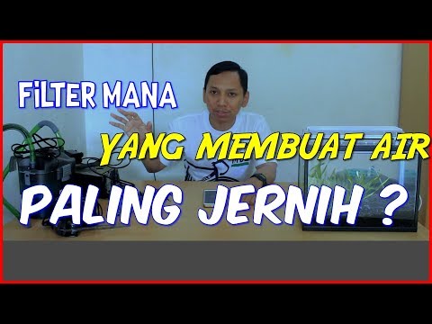 Video: Bagaimana Memilih Filter Eksternal Untuk Akuarium Anda