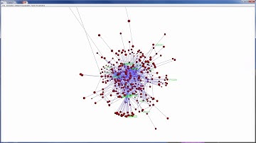 Network Random Perturbation