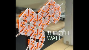 The Cell Wall  | Dynamic Environments