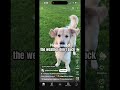 Use this sound and I will like subscribe and comment on your video