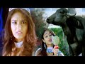 Bhale Dongalu - Tarun & Ileana's Hilarious Comedy Scenes | Icon Entertainments