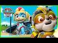 Los Mighty Pups Super Paws conocen a los Supergemelos Ella y Tuck Compilación de PAW Patrol Español