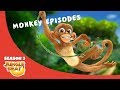 Mischievous Monkey  – JB S3 Animal Compilation #9