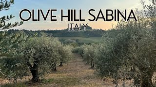 Experience the Enchanting Olive Oil Farm in the Sabina Hills, Italy - Olive Hill Sabina