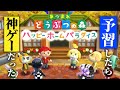 あつ森アプデの原点「どうぶつの森ハッピーホームデザイナー」が神ゲーだった