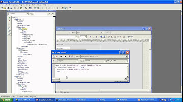 PART 34 end user quit called form using global variable
