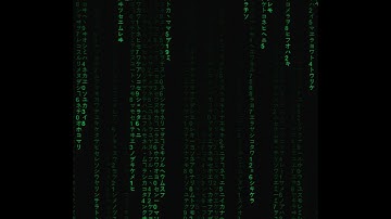 how to use transitions in movavi video editor