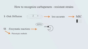 Carbapenem-resistant bacteria in Middle East - Video Abstract ID 176049