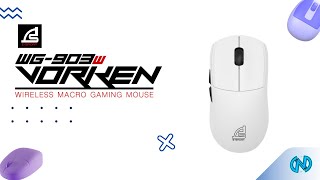 [REVIEW] Signo E-Sport WG-903W VORKEN | เมาส์ไร้สาย น้ำหนักเบา ราคาไม่เกิน 2 พัน!!!