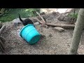 Summer Ice Enrichment at the Smithsonian's National Zoo