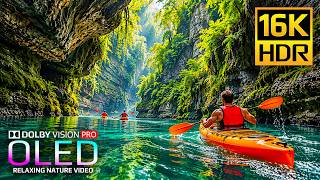 You Won't Believe This 16K HDR Nature Video | Dolby Vision OLED Test (4K Video • 8K Ultra HD TV)