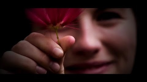 Hakomi Project Chamber 13 (Multi Subtitles)