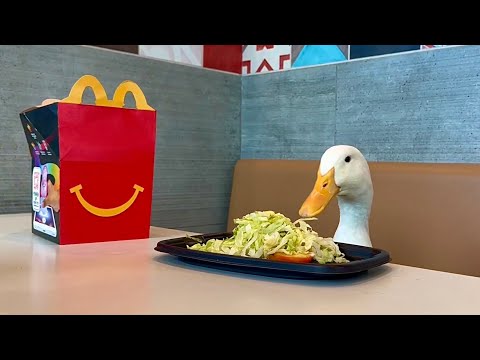 I took my duck to the World’s Largest McDonalds 🍟🦆