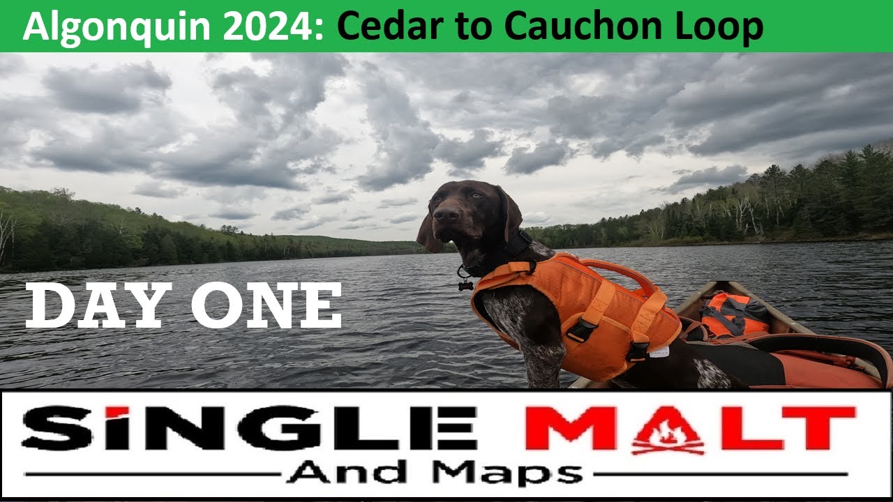 Algonquin Park 2024: DAY One: Henry Visits Hurdman Lake