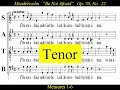 Mendelssohn - OP70 - Elijah -22 Be Not Afraid - Tenor