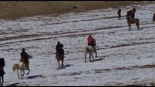 27.01.2022й Рангон Иброхим чавандоз аспи хожи Фарход асп ба номи Барселона