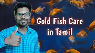 Gold fish care in tamil | Sangamam Tamil 2.0