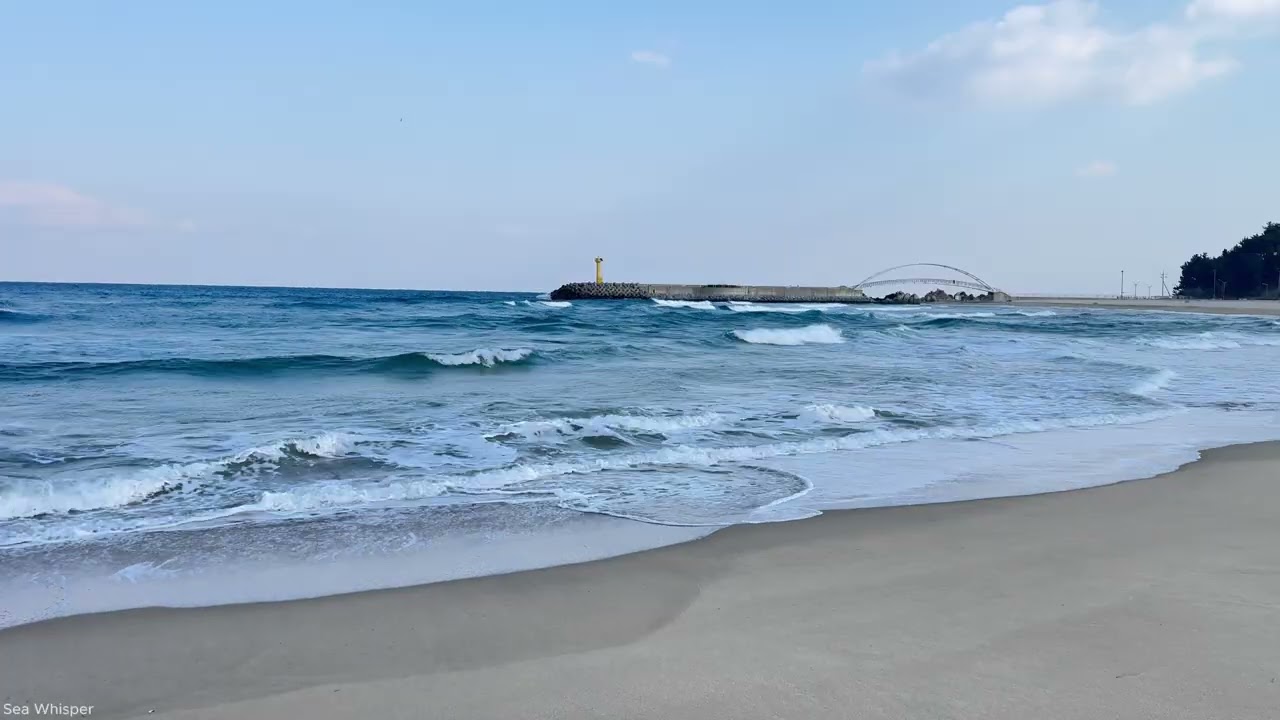 [1시간] 양양 남애3리 바다 | 말 없는 겨울 파도 소리