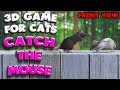 3d game for cats  catch the mouse front view