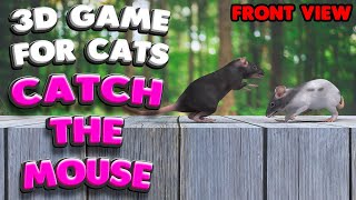 3D game for cats | CATCH THE MOUSE (front view) screenshot 5