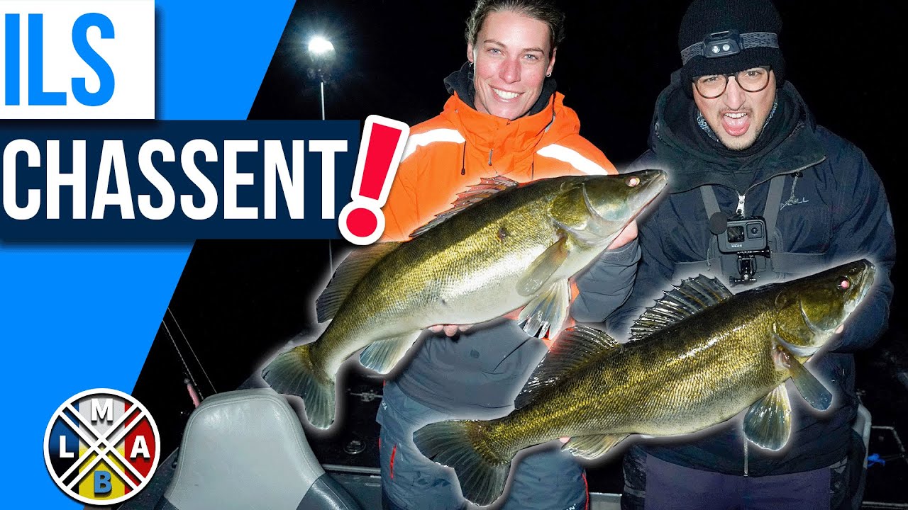Ces énormes sandres chassent la nuit ! (pêche aux leurres)