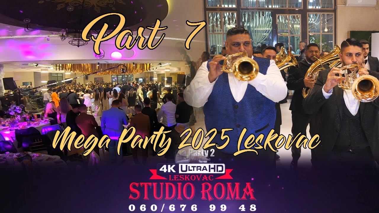 MEGA PARTY 2 LESKOVAC - PART7 - 14.02.2025 ORG,MARTIN BECIROVIC-STUDIO ROMA IVICA 4K
