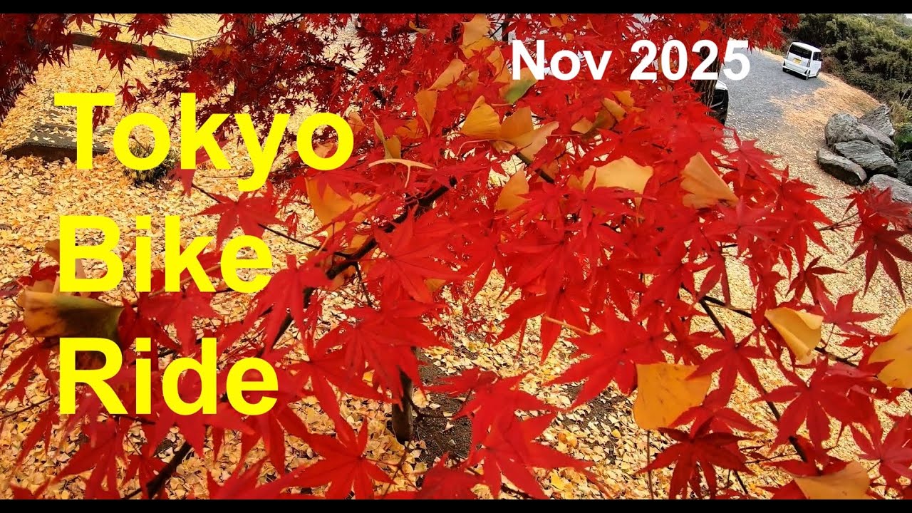 Tokyo Bike Ride - Nov 2025