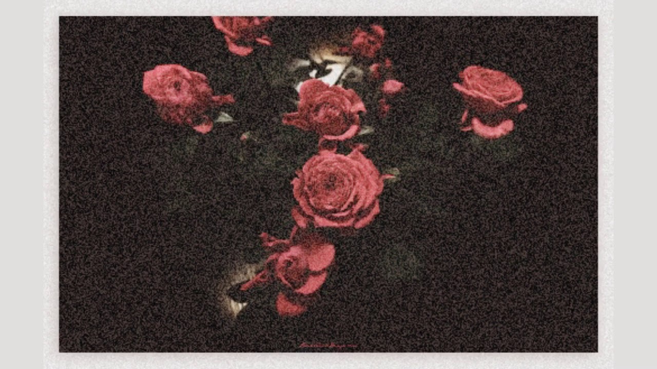 𝙒𝙤𝙢𝙖𝙣 - 𝙃𝙖𝙧𝙧𝙮 𝙎𝙩𝙮𝙡𝙚𝙨 (𝙨𝙡𝙤𝙬𝙚𝙙 𝙙𝙤𝙬𝙣)