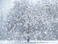 Debussy, Children's corner 4. The snow is dancing