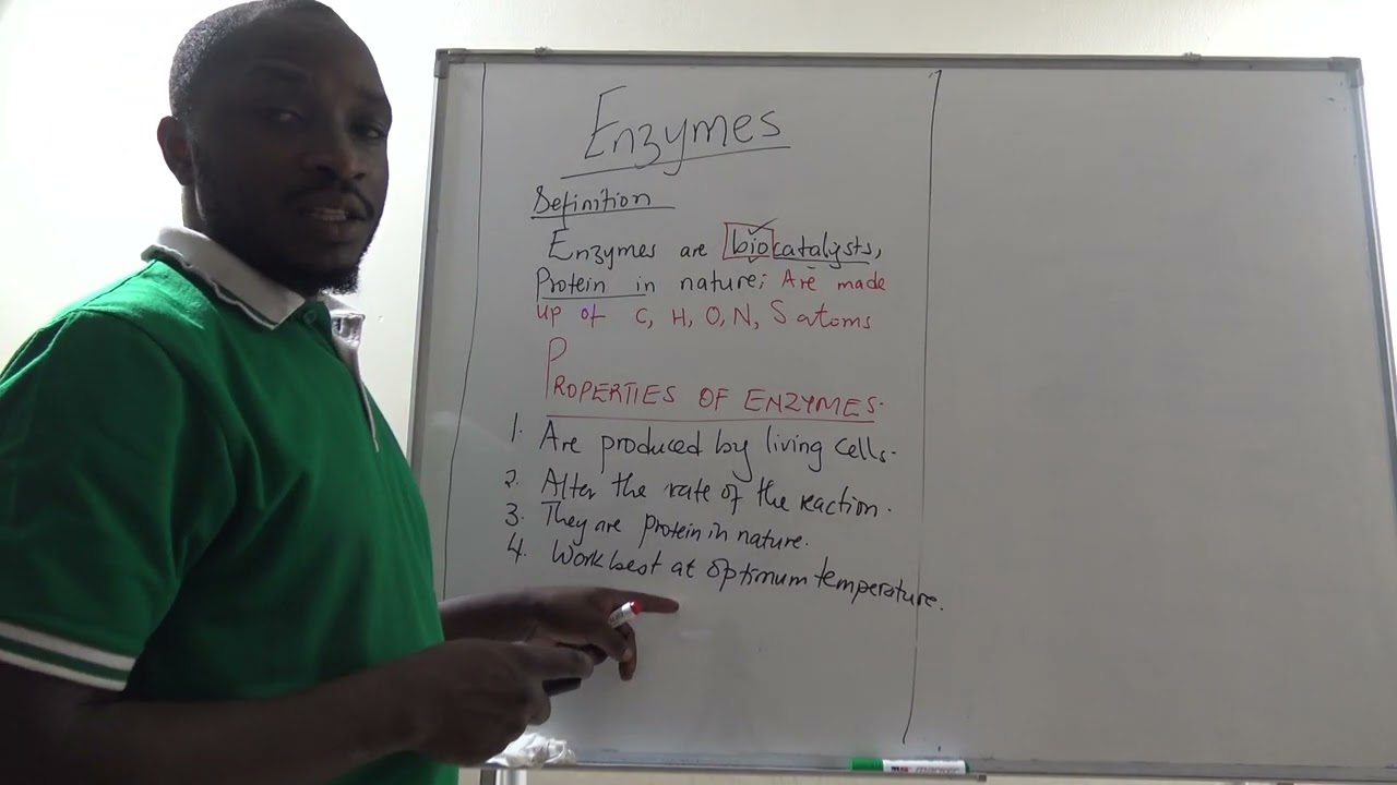 PROPERTIES OF ENZYMES