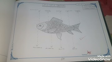 ZOOLOGY RECORD 30%DELETED SYLLABUS 2021-2022 TELANGANA 👍