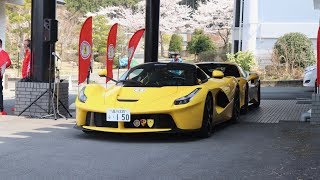 We went to gotemba a little bit outside tokyo for the annual ferrari
club of japan brunch event. many rare and exclusive ferraris including
f40s, f50s, lafer...