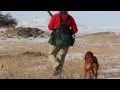 Idaho Chukar Hunting action. Dogs, guns, girls - with Ron Spomer