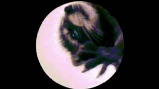 Atmospheric Jungle remixlive mix 2
