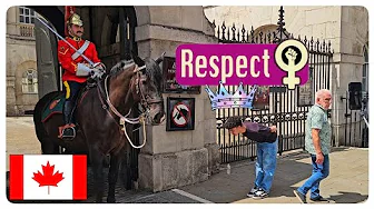 Super POLITE Tourist Decides to Bow to The King's Guard!