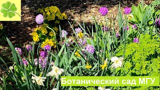 Москва. Прогулка по Ботаническому саду МГУ (2.05.2023)