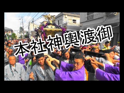 29年  小右衛門稲荷神社  例大祭  本社神輿立派な渡御です　。