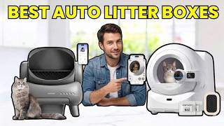 Top 5 Best Self Cleaning Litter Boxes in 2026  Smart Cat Solutions