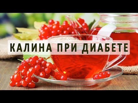 Лечение сахарного диабета с помощью калины. Рецепты народной медицины