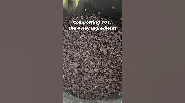 Composting 101: The 4 Key Ingredients 🌱