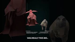 T. rex vs Max Size Nainamoteuthis haggarti