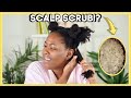 I TRIED A SCALP SCRUB ON MY TYPE 4 NATURAL HAIR | SCALP EXFOLIATION | KandidKinks