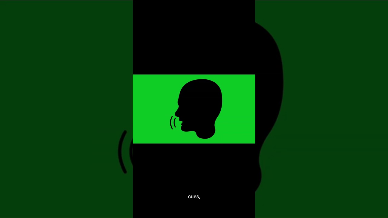 brain emotions people 