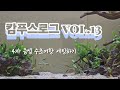 [캄푸스로그 Vol.13] 4자 음성 수초어항 세팅하기