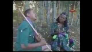 Ethiopian Traditional Music Arheebu By The Zemenu Besola
