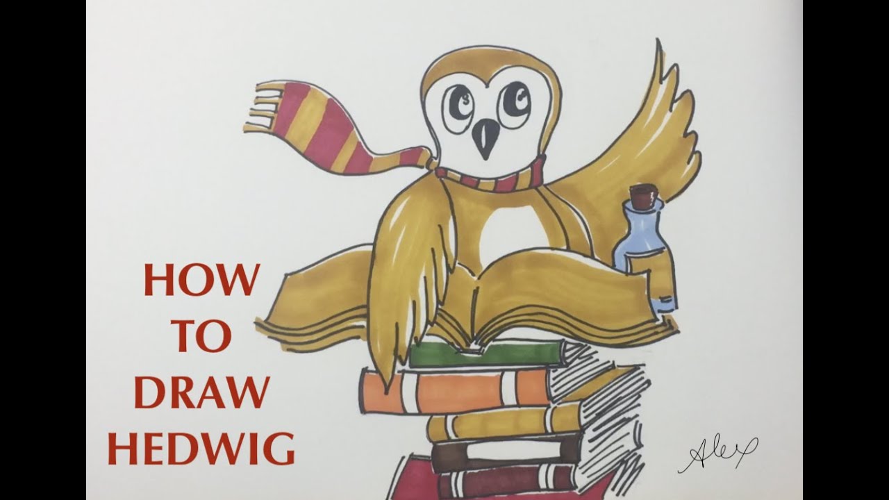 How to draw Hedwig from Harry Potter and add colour to it. #Ilovecolour