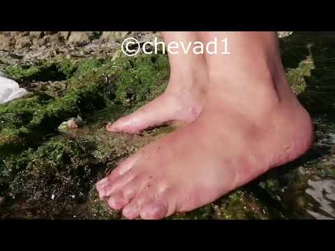 Ava barefoot at the beach with snails 1  preview