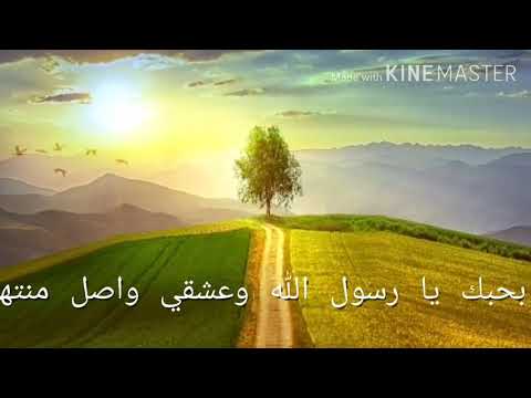 اجمل نغمه بحبك يا رسول الله وعشقي واصل منتهاه